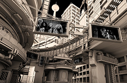 ��ά����